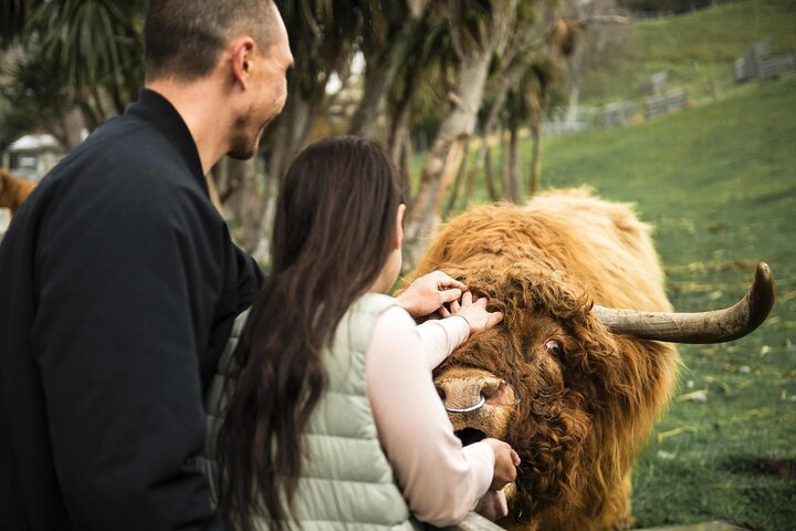 Queenstown-Bootsfahrt auf dem See & Walter Peak Farm Abenteuer | wizardtrip