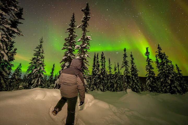フェアバンクスでのオーロラ体験を、専門的な追跡とプロの写真撮影で、写真16 | wizardtrip