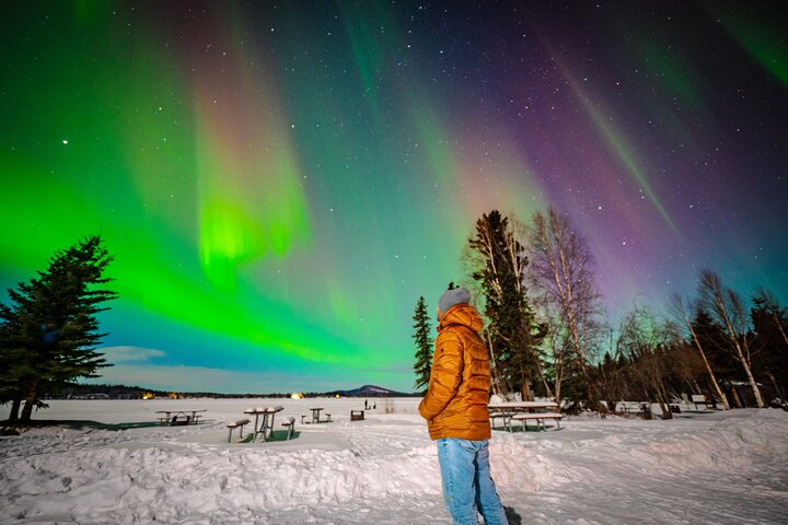 フェアバンクスでのオーロラ体験を、専門的な追跡とプロの写真撮影で、写真18 | wizardtrip