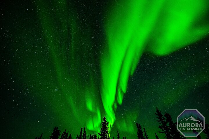 フェアバンクスでのオーロラ体験を、専門的な追跡とプロの写真撮影で、写真23 | wizardtrip