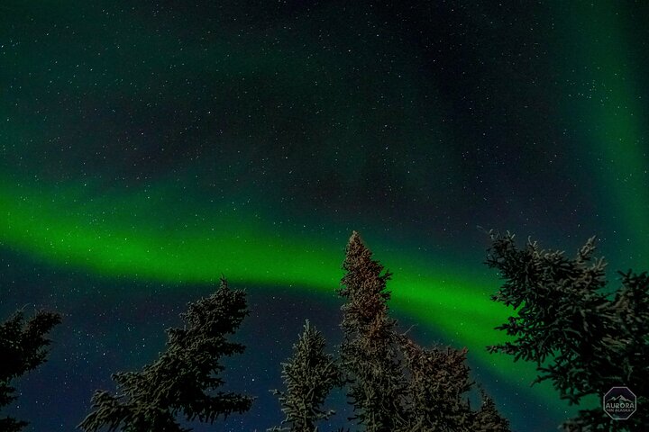 フェアバンクスでのオーロラ体験を、専門的な追跡とプロの写真撮影で、写真28 | wizardtrip