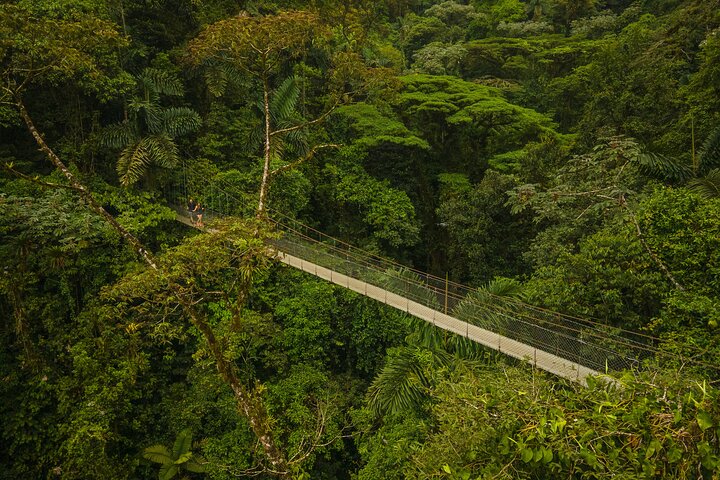 Passeio pelo vulcão Arenal, pontes suspensas e cascata em La Fortuna, Costa Rica, foto 6 | wizardtrip