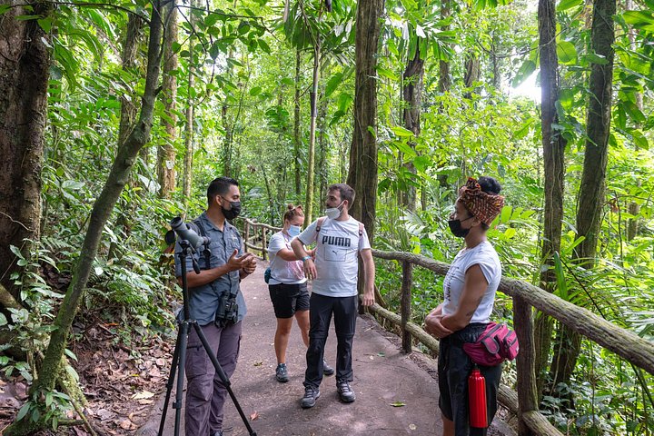 Passeio pelo vulcão Arenal, pontes suspensas e cascata em La Fortuna, Costa Rica, foto 8 | wizardtrip