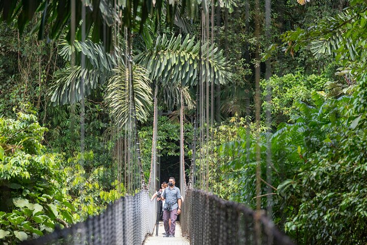Passeio pelo vulcão Arenal, pontes suspensas e cascata em La Fortuna, Costa Rica, foto 9 | wizardtrip