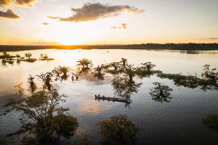 Erleben Sie den Amazonas-Regenwald in Ecuador mit Wildtierbeobachtungen, geführten Wanderungen und kulturellen Besuchen im Tucan Lodge Cuyabeno, Foto 9 | wizardtrip