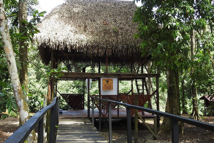 Erleben Sie den Amazonas-Regenwald in Ecuador mit Wildtierbeobachtungen, geführten Wanderungen und kulturellen Besuchen im Tucan Lodge Cuyabeno, Foto 11 | wizardtrip