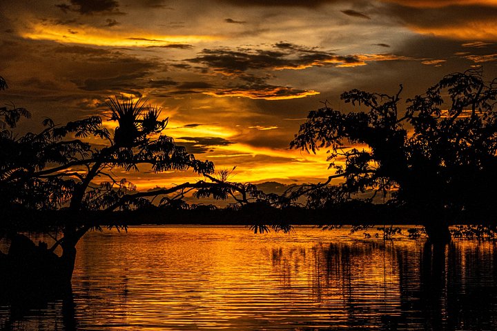 Erleben Sie den Amazonas-Regenwald in Ecuador mit Wildtierbeobachtungen, geführten Wanderungen und kulturellen Besuchen im Tucan Lodge Cuyabeno, Foto 13 | wizardtrip