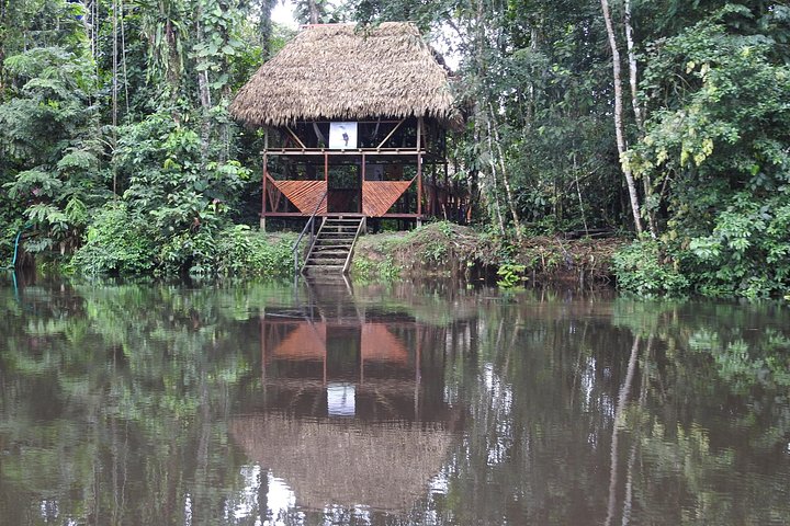 Erleben Sie den Amazonas-Regenwald in Ecuador mit Wildtierbeobachtungen, geführten Wanderungen und kulturellen Besuchen im Tucan Lodge Cuyabeno, Foto 14 | wizardtrip