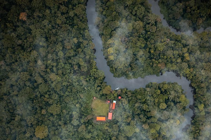Erleben Sie den Amazonas-Regenwald in Ecuador mit Wildtierbeobachtungen, geführten Wanderungen und kulturellen Besuchen im Tucan Lodge Cuyabeno, Foto 16 | wizardtrip