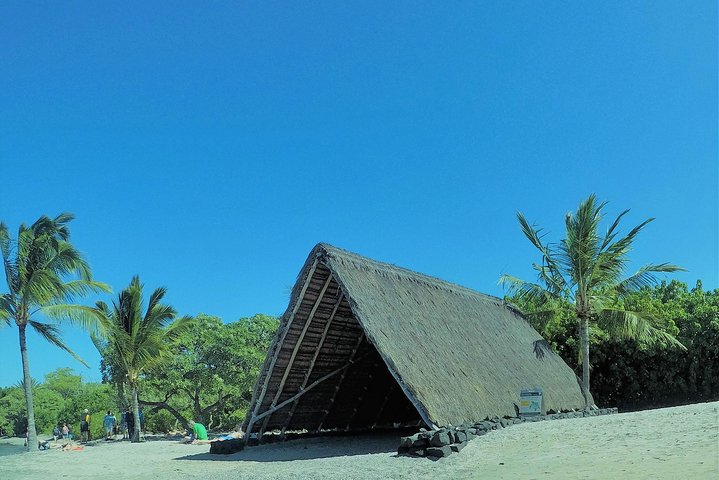 Explorez la côte de Kona avec des tortues marines, des sites historiques et des fermes de café sur Big Island, Hawaï, photo 10 | wizardtrip
