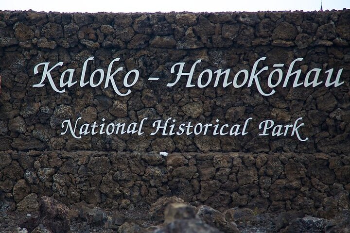 Explorez la côte de Kona avec des tortues marines, des sites historiques et des fermes de café sur Big Island, Hawaï, photo 13 | wizardtrip