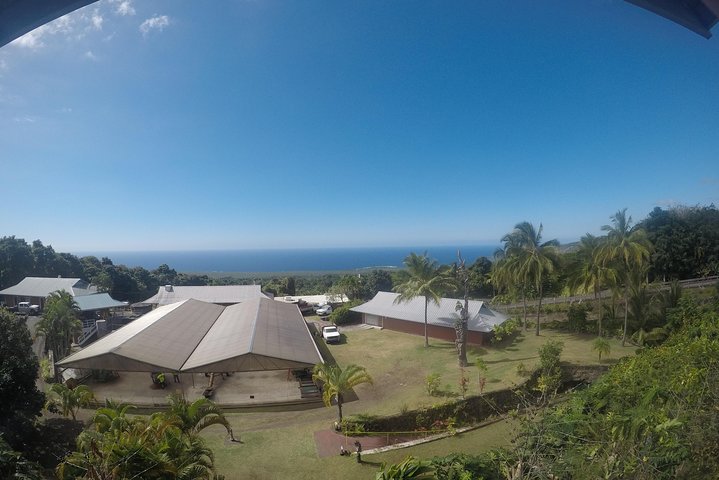 Explorez la côte de Kona avec des tortues marines, des sites historiques et des fermes de café sur Big Island, Hawaï, photo 15 | wizardtrip