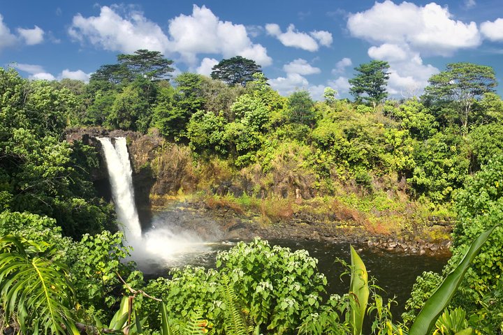 ハワイ島火山国立公園と黒砂海岸ツアー、写真6 | wizardtrip