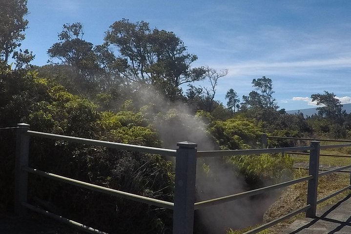 ハワイ島火山国立公園と黒砂海岸ツアー、写真10 | wizardtrip
