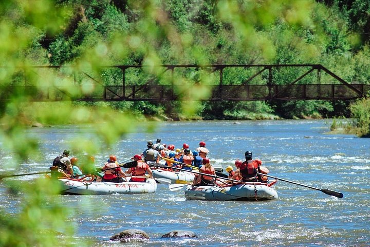 Disfruta de un pintoresco recorrido de rafting de medio día por el río Animas Inferior en Durango, Colorado, con rápidos emocionantes y hermosas vistas, foto 12 | wizardtrip