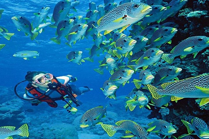Crucero de lujo en yate en Hurgada con snorkel, visita a isla, deportes acuáticos y masaje a bordo, foto 16 | wizardtrip
