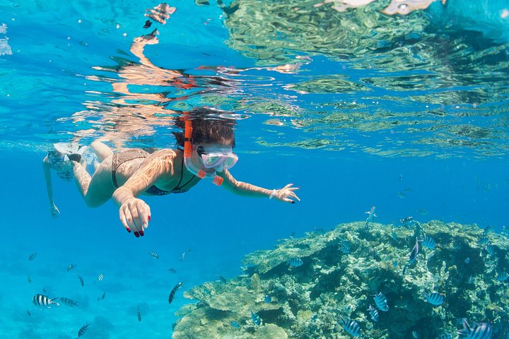 Crucero de lujo en yate en Hurgada con snorkel, visita a isla, deportes acuáticos y masaje a bordo, foto 17 | wizardtrip