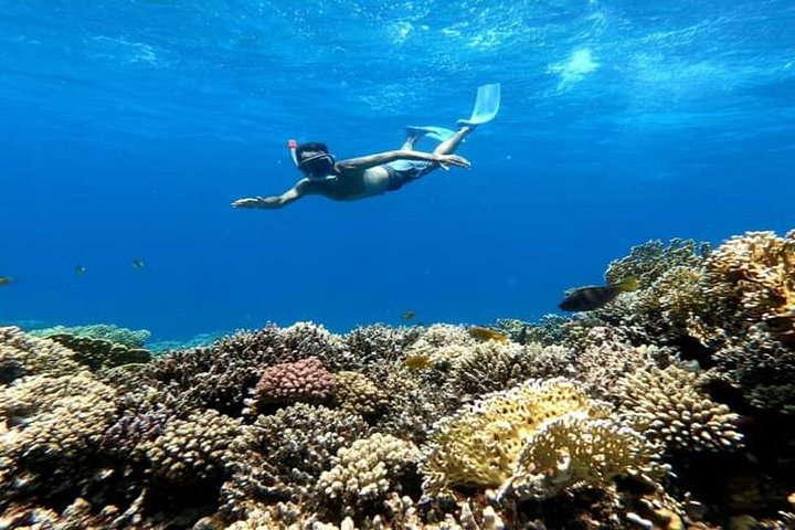 Crucero de lujo en yate en Hurgada con snorkel, visita a isla, deportes acuáticos y masaje a bordo, foto 28 | wizardtrip