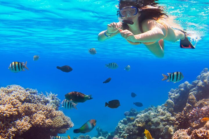 Crucero de lujo en yate en Hurgada con snorkel, visita a isla, deportes acuáticos y masaje a bordo, foto 37 | wizardtrip
