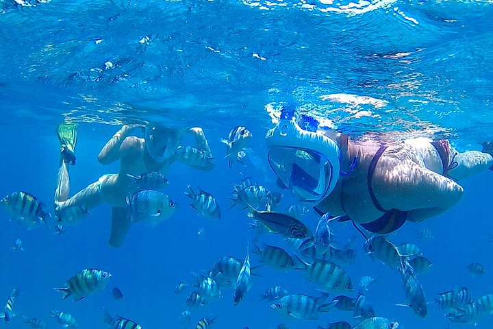 Crucero de lujo en yate en Hurgada con snorkel, visita a isla, deportes acuáticos y masaje a bordo, foto 41 | wizardtrip