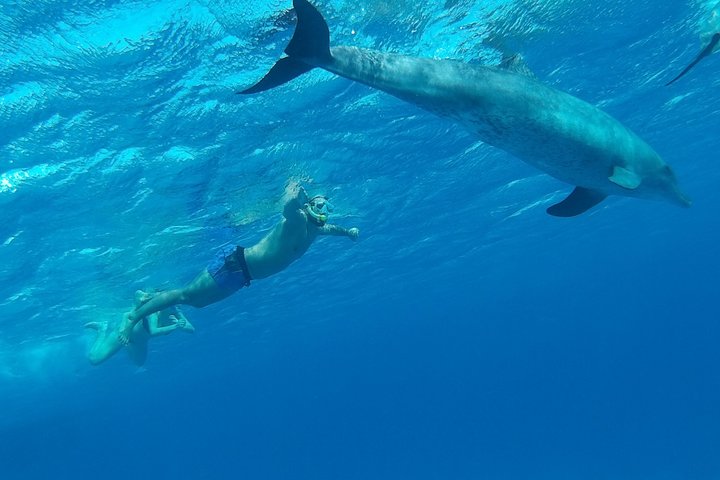 Crucero de lujo en yate en Hurgada con snorkel, visita a isla, deportes acuáticos y masaje a bordo, foto 43 | wizardtrip
