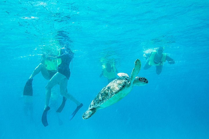 National Park Snorkeling Excursion | wizardtrip