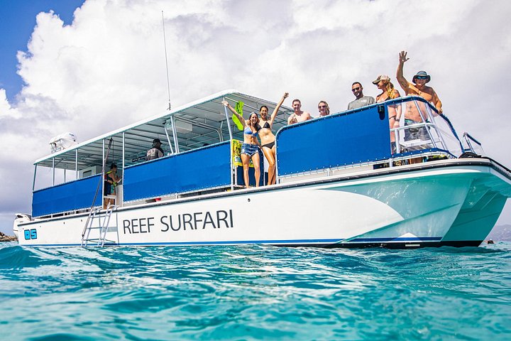 Snorkelavontuur in het Virgin Islands National Park aan boord van een catamaran, foto 9 | wizardtrip