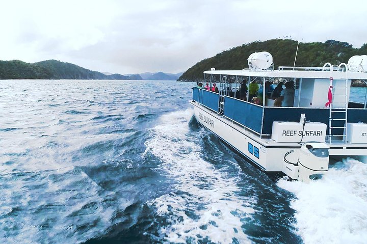 Snorkelavontuur in het Virgin Islands National Park aan boord van een catamaran, foto 11 | wizardtrip