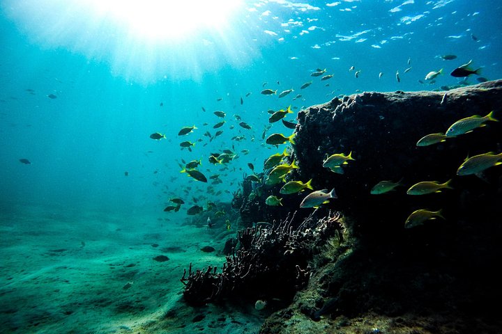 Snorkelavontuur in het Virgin Islands National Park aan boord van een catamaran, foto 12 | wizardtrip