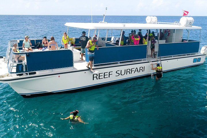Snorkelavontuur in het Virgin Islands National Park aan boord van een catamaran, foto 17 | wizardtrip
