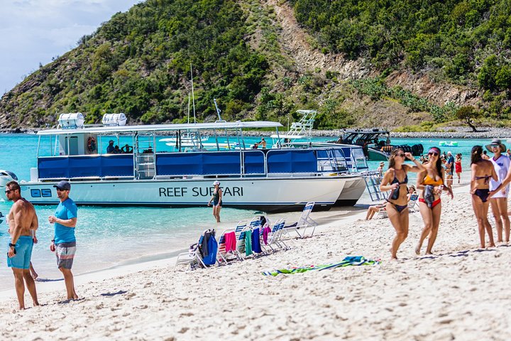 Snorkelavontuur in het Virgin Islands National Park aan boord van een catamaran, foto 21 | wizardtrip