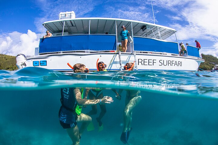 セントトーマス島のボートツアーで、シュノーケリング、ピザ、夕日をお楽しみください、写真12 | wizardtrip