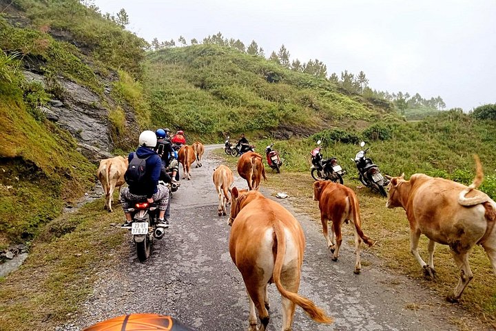 Tag på en 3 eller 4-dages motorcykel loop gennem Ha Giangs fantastiske landskaber, besøg lokale landsbyer og naturskønne pas, foto 26 | wizardtrip