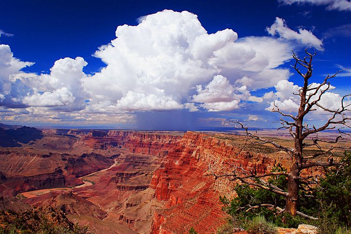 Terrängsafari-fordon vid Grand Canyon South Rim under solnedgången, med möjligheter att se vilda djur, foto 6 | wizardtrip