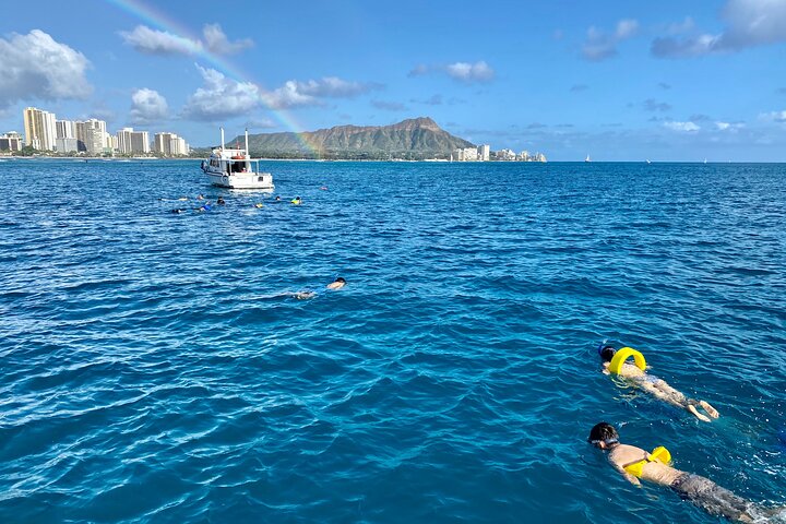 Small group snorkeling tour in Oahu, Hawaii, with sea turtles and tropical fish, photo 6 | wizardtrip