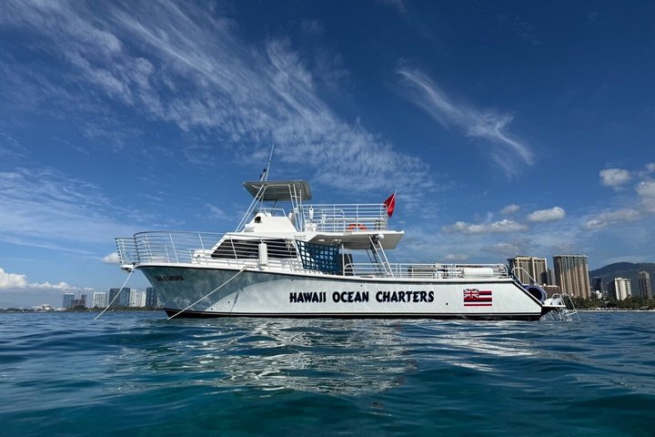 Small group snorkeling tour in Oahu, Hawaii, with sea turtles and tropical fish, photo 13 | wizardtrip