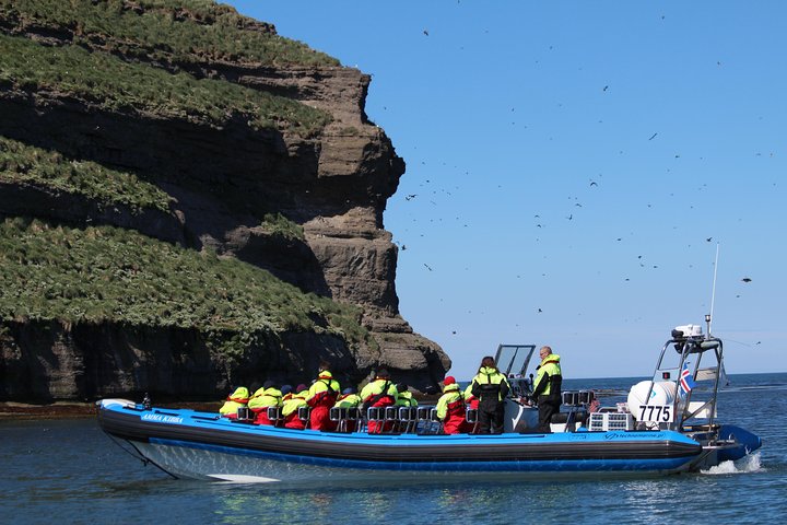 Visite d'observation des baleines en speedboat à Húsavík, Islande, à la recherche de baleines et de macareux, photo 6 | wizardtrip