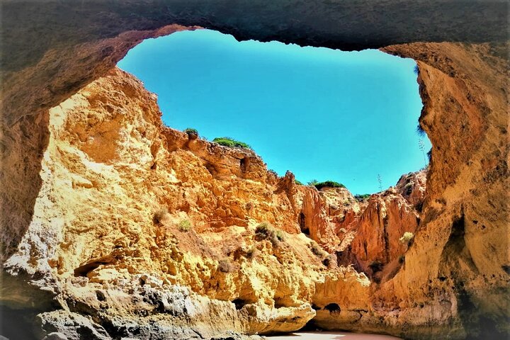 Speedboottocht langs de Benagil-grotten en de kust van de Algarve in Portimão, foto 8 | wizardtrip
