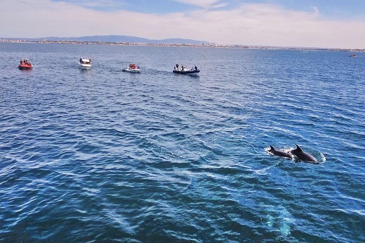 Speedboottocht langs de Benagil-grotten en de kust van de Algarve in Portimão, foto 25 | wizardtrip