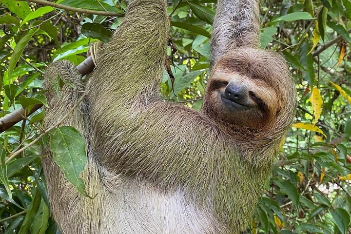 Guidet tur i Manuel Antonio Nationalpark, Costa Rica, med dyreliv og naturskønne udsigter, foto 7 | wizardtrip