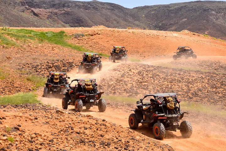 Udforsk Sal Islands fantastiske landskaber og attraktioner på et spændende 4-timers buggy eventyr, foto 6 | wizardtrip