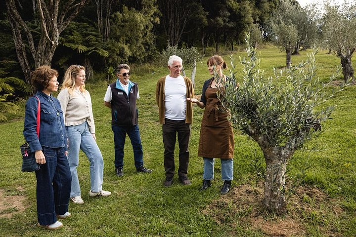 Waiheke Island Gourmet Food and Wine Tour mit Weingütern, Austern, Olivenöl und lokalen Produkten, Foto 7 | wizardtrip