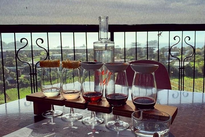 Waiheke Island Gourmet Food and Wine Tour mit Weingütern, Austern, Olivenöl und lokalen Produkten, Foto 16 | wizardtrip
