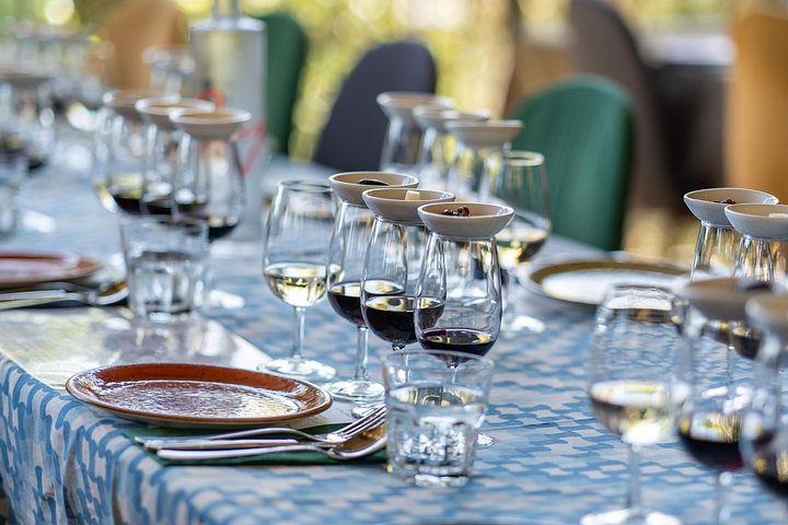 Waiheke Island Gourmet Food and Wine Tour mit Weingütern, Austern, Olivenöl und lokalen Produkten, Foto 17 | wizardtrip