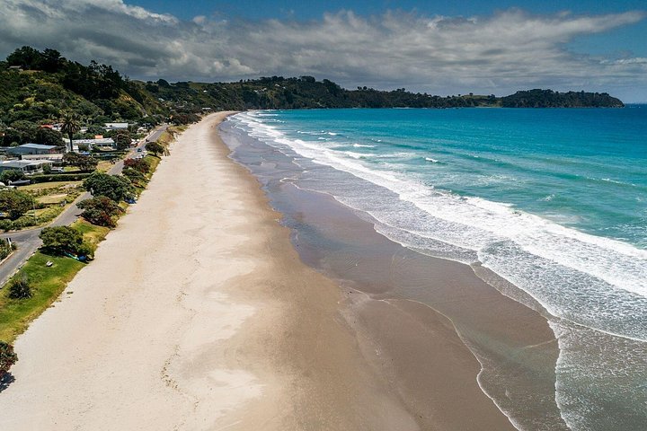Waiheke Island Gourmet Food and Wine Tour mit Weingütern, Austern, Olivenöl und lokalen Produkten, Foto 24 | wizardtrip