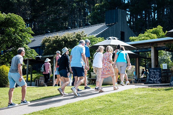 Waiheke Island Gourmet Food and Wine Tour mit Weingütern, Austern, Olivenöl und lokalen Produkten, Foto 25 | wizardtrip