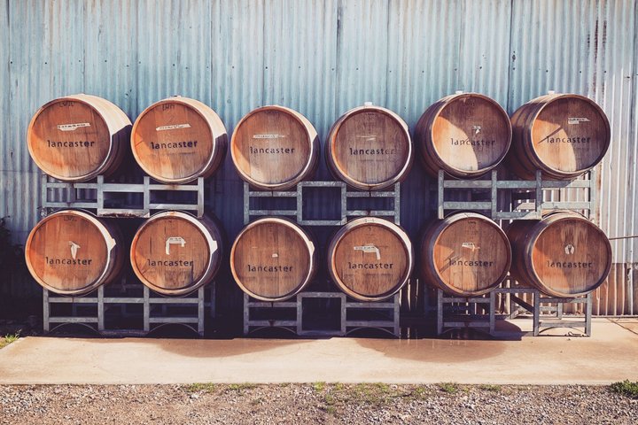 Un tour panoramico di un giorno alla scoperta delle offerte enogastronomiche della Swan Valley da Perth, foto 20 | wizardtrip