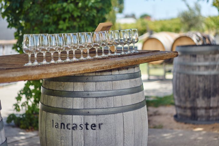 Un tour panoramico di un giorno alla scoperta delle offerte enogastronomiche della Swan Valley da Perth, foto 22 | wizardtrip