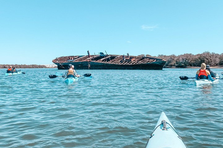 Guidet kajaktur i Adelaides Dolphin Sanctuary, der udforsker mangroves og dyreliv, foto 9 | wizardtrip