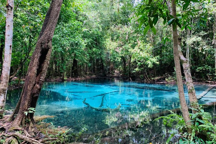Krabi Dschungeltour mit heißen Quellen, Smaragdpool und Tigerhöhlentempel, Foto 6 | wizardtrip